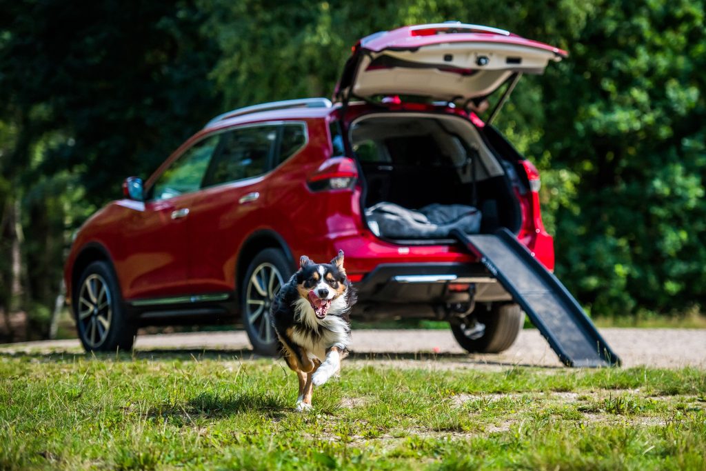 Nissan X-TRAIL Paw Pack accessory kit