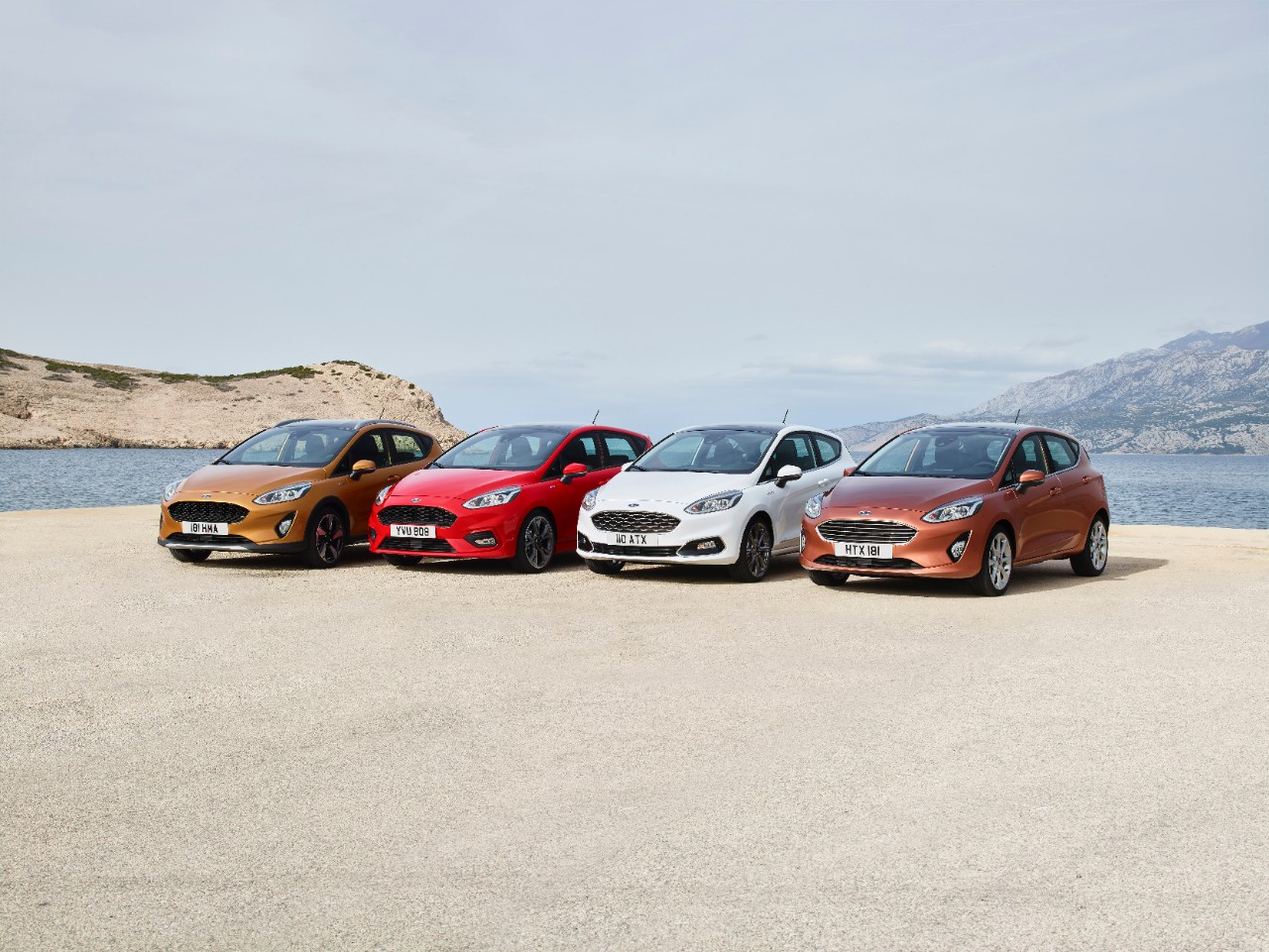 Ford fiesta range