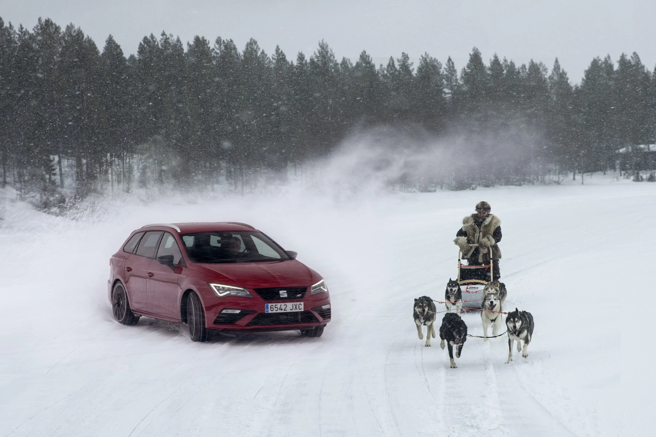 Leon Cupra vs Huskies